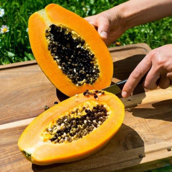 kostliche-papaya-sensation-1-kg-reiner-geschmack-daily-fresch